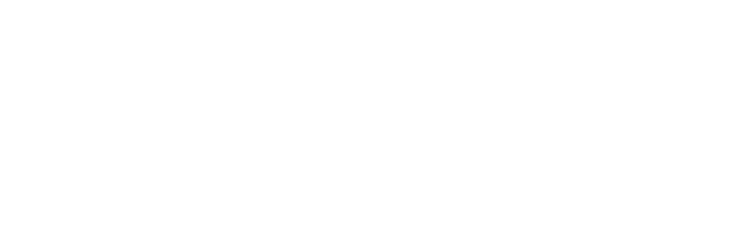 Logo Blanco Vlock